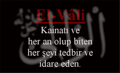 EL-VALİ İsminin Anlamı ve Zikretmenin Faydası