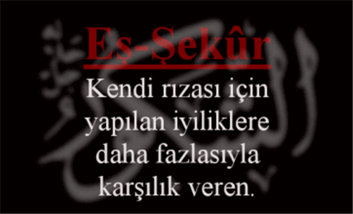 EŞ-ŞEKÛR İsmini Zikretmenin Faydası